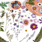80PCS Pressed Dried Flowers & Leaves, Natural Color | Real Pressed Flowers - Image 3