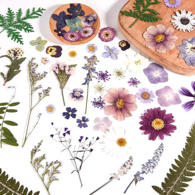 80PCS Pressed Dried Flowers & Leaves, Natural Color | Real Pressed Flowers - Image 3