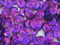 Sequins 8mm 800/Pkg Purple by Golden+Leaf