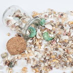 Fangoo 1500 Pieces Small Sea Shells Conch Natural Starfish Mixed Agate Pebble - Image 7