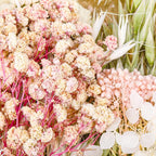 Real Dried Flowers, Natural Dry Flowers Mixed Natural Pressed Flowers Flores - Image 5