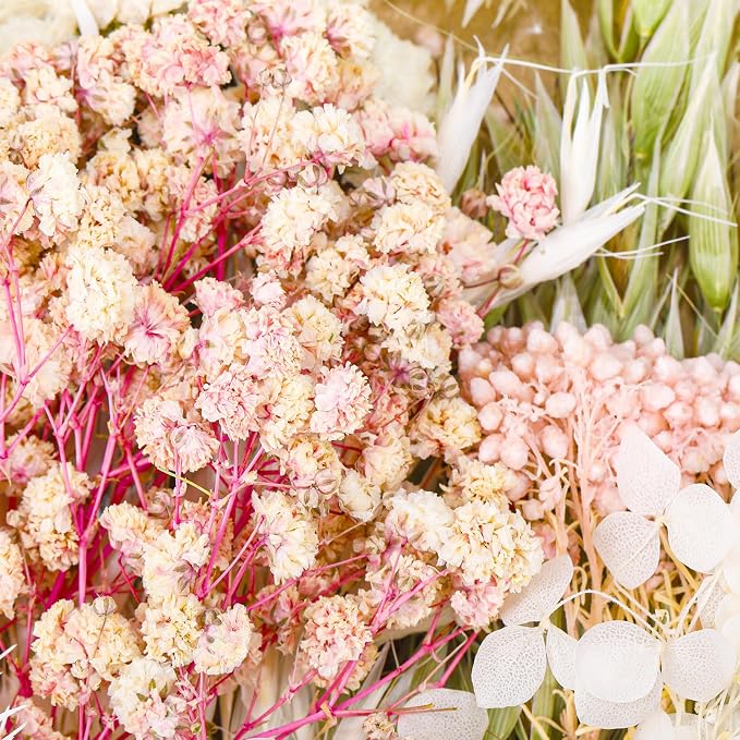 Real Dried Flowers, Natural Dry Flowers Mixed Natural Pressed Flowers Flores - Image 5