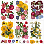 180 pcs Dried Flowers for Resin, Natural Flowers and Leaves Kit by Unknown