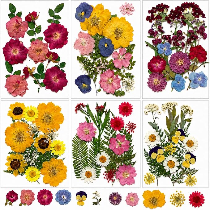 180 pcs Dried Flowers for Resin, Natural Flowers and Leaves Kit by Unknown