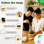 Terrarium Kit for Plants DIY | Starter Pack – Closed Ecosystem – 34 fl oz Glass - Image 3