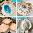 10PCS Scallop Shells for Crafts 4''-5'' Natural White Large Shells Decoration - Image 6