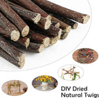 50Pcs Natural Twigs, Driftwood Branches, Unfinished Timber Rods - Image 3