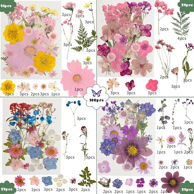 204 Pcs Dried Pressed Flowers for Resin Crafts, Real Natural Pressed Flowers - Image 2