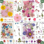 204 Pcs Dried Pressed Flowers for Resin Crafts, Real Natural Pressed Flowers - Image 2
