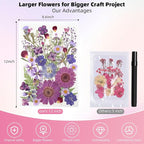 12“ Large Bulk Dried Pressed Flowers - Image 2