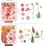 330PCS Natural Color Pressed Dried Flowers - Image 3