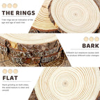 FSWCCK 6 Pack Nature Unfinished Round Wood Slices, 7-8 Inches Wooden Circle - Image 3