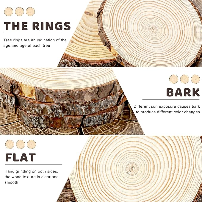 FSWCCK 6 Pack Nature Unfinished Round Wood Slices, 7-8 Inches Wooden Circle - Image 3