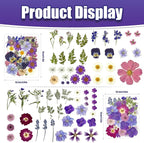 140Pcs Pressed Dried Flowers and Leaves Real Natural Dried Flowers - Image 4