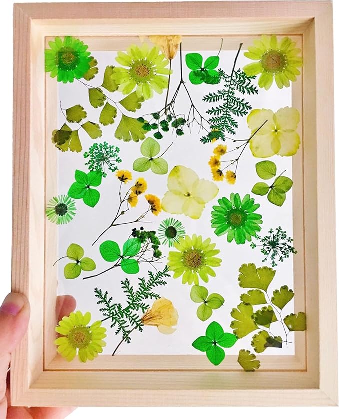 Woohome 126PCS Real Pressed Flowers, Dried Pressed Flowers Colorful Real - Image 7