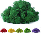 Fake Moss Preserved Reindeer Moss 3.5 OZ by DAZUINIAO