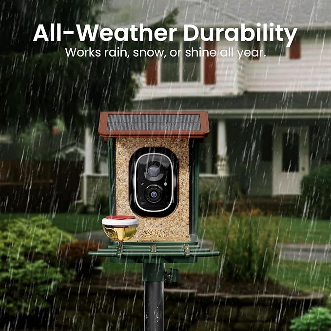 Smart Bird Feeder with Camera Solar Powered 2K HD Video, 000+ Species AI - Image 8