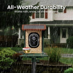 Smart Bird Feeder with Camera Solar Powered 2K HD Video, 000+ Species AI - Image 8