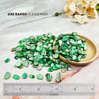 Natural Crushed Shells Chips Irregular Mother of Pearl Seashell Fragments Sea - Image 2