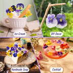 70 Pcs 8 Kinds Natural Dried Pressed Edible Flowers - Image 4