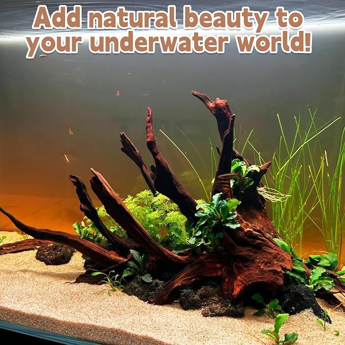 PINVNBY Natural Driftwood for Aquarium Decor Fish Tank Decorations Reptile - Image 4