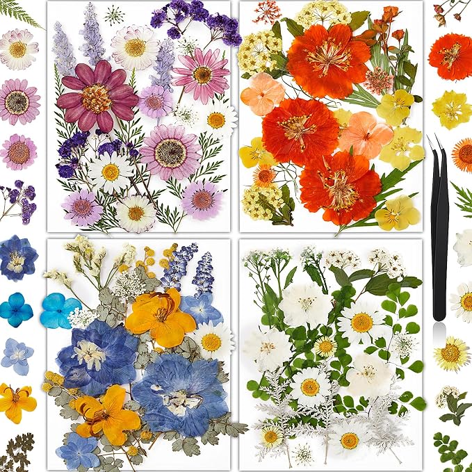 85Pcs Pressed Flowers for Crafts, Colorful Dried Flowers for Crafts Real by HLCYGJIN
