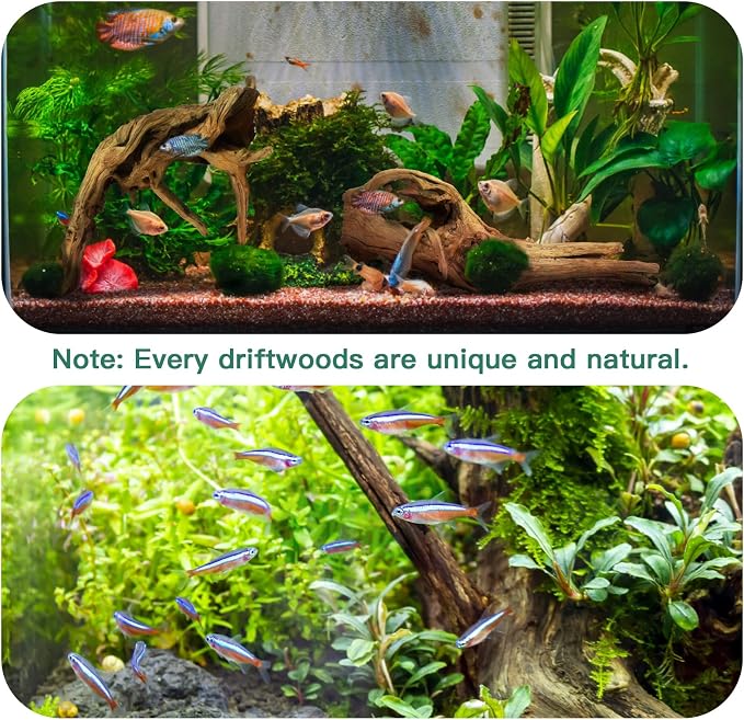 LYPHARD AQUARIUMS Driftwood for Aquarium, 2 Pieces 14-18 Inches Large Natural - Image 3
