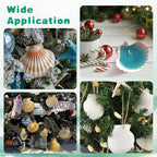 25PCS Natural Scallop Shells White Sea Shells from Sea Beach, Real Seashells - Image 7
