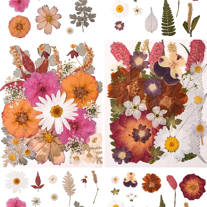 100 PCS Cream Color Pressed Dried Flowers & Leaves | Real Natural Dried Flowers - Image 2