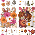 100 PCS Cream Color Pressed Dried Flowers & Leaves | Real Natural Dried Flowers - Image 2