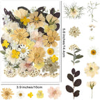 35pcs Dried Pressed Flowers for Resin Molds, YouthBro Real Natural Pressed - Image 2