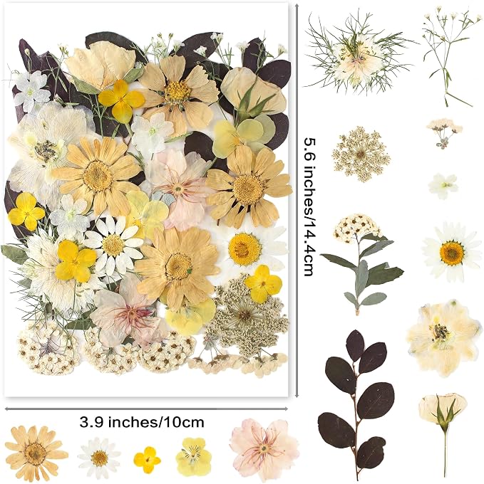 35pcs Dried Pressed Flowers for Resin Molds, YouthBro Real Natural Pressed - Image 2