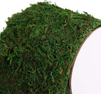USMOLA Moss Roll, Dried Moss for Crafts, Moss Table Runner for Fairy Gardens - Image 6