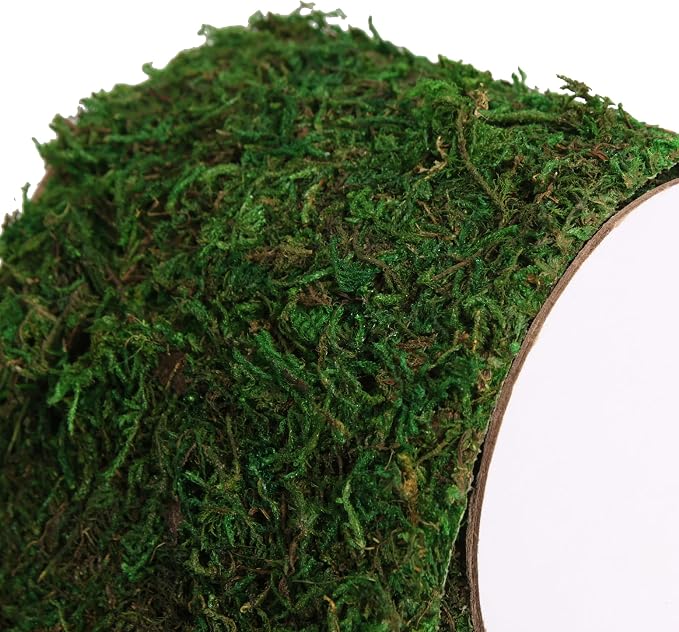 USMOLA Moss Roll, Dried Moss for Crafts, Moss Table Runner for Fairy Gardens - Image 6