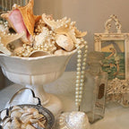 JQAQJU 16PCS Starfish and Scallop Shells - Image 4