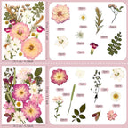 92 Pcs Pink Pressed Dried Flowers - Image 5