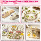 100 Pcs Dried Pressed Flowers Leaves - Image 6