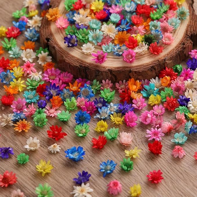 420Pcs Dried Flower for Crafts, Mini Dried Flowers for Resin, Tiny Natural Real by LGFMGWH