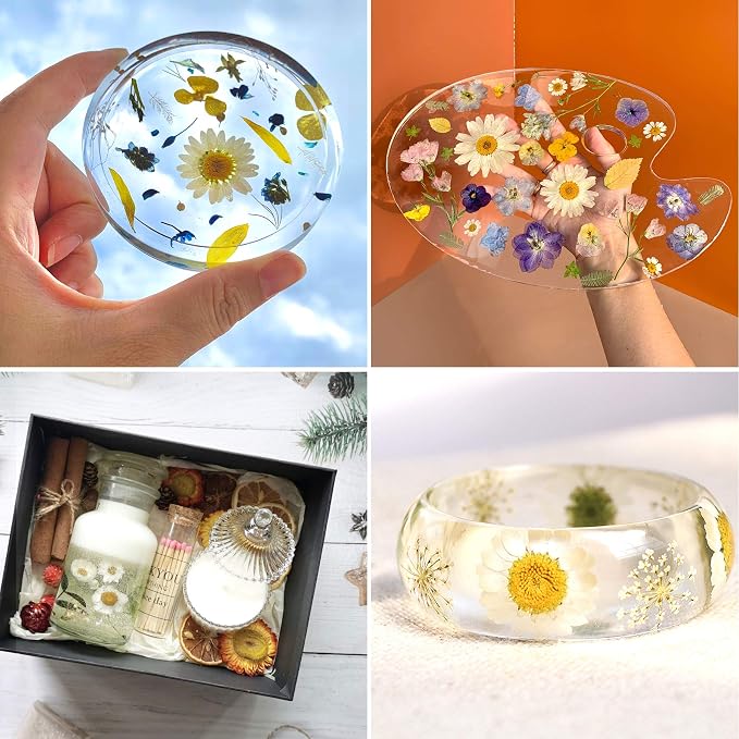 Augshy White Dried Pressed Flowers, Real Natural Dried Flowers Colorful Pressed - Image 5