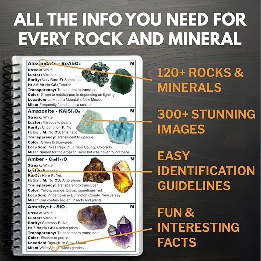 Rocks and Minerals of the United States Identification Field Guide | Thick - Image 2