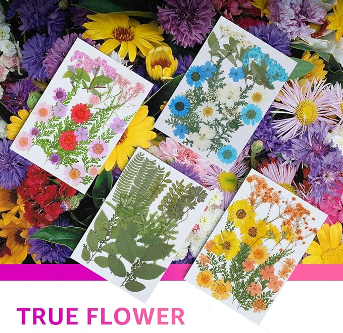 96Pcs Dried Pressed Flowers for Resin, Bulk Natural Dried Flowers, for - Image 2