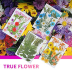 96Pcs Dried Pressed Flowers for Resin, Bulk Natural Dried Flowers, for - Image 2