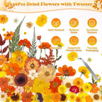 361 Pcs Pressed Dried Flowers - Image 4