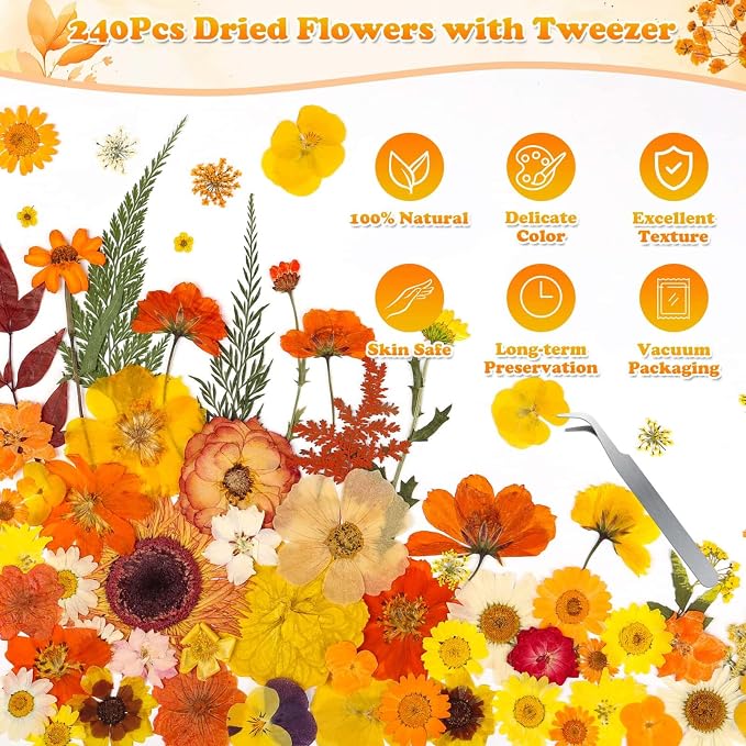 361 Pcs Pressed Dried Flowers - Image 4