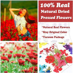 75 Pcs Red Dried Flowers Real Natural Pressed Leave Petals - Image 2