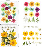 80Pcs Dried Pressed Flowers for Resin, Real Natural Flowers & Leaves Set - Image 3