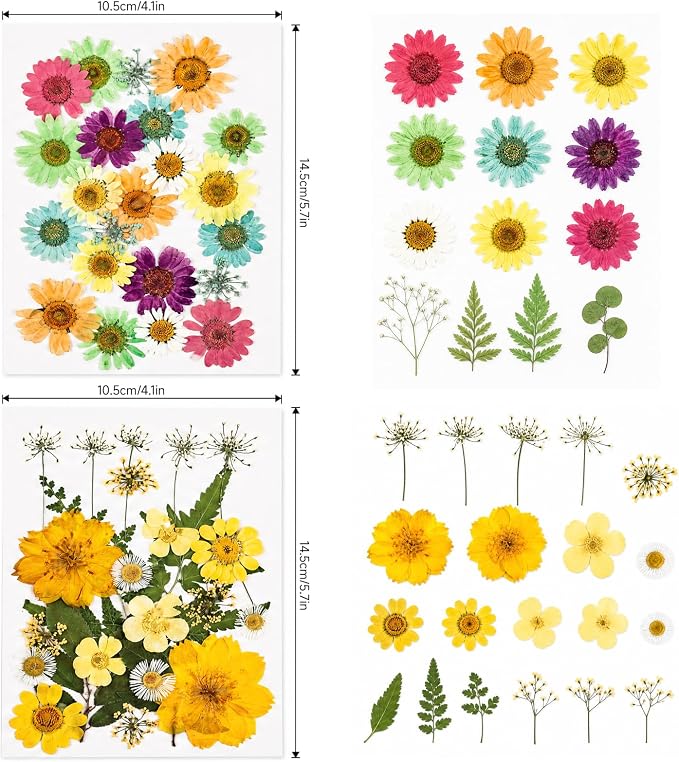 80Pcs Dried Pressed Flowers for Resin, Real Natural Flowers & Leaves Set - Image 3