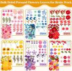 318 PCS Pressed Flowers Butterfly Stickers - Image 3