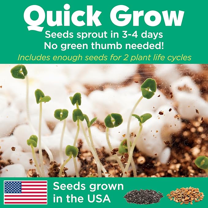 Creativity for Kids Grow 'N Glow Terrarium Kit - Image 9