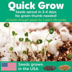 Creativity for Kids Grow 'N Glow Terrarium Kit - Image 9